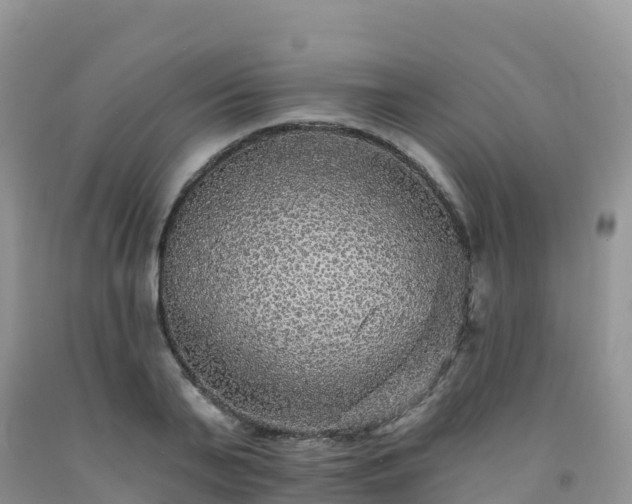 X0000092080791200709191224
