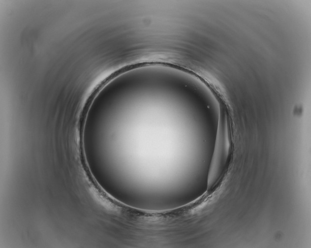 X0000092080792200709191224