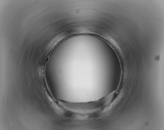X0000092080793200709191224