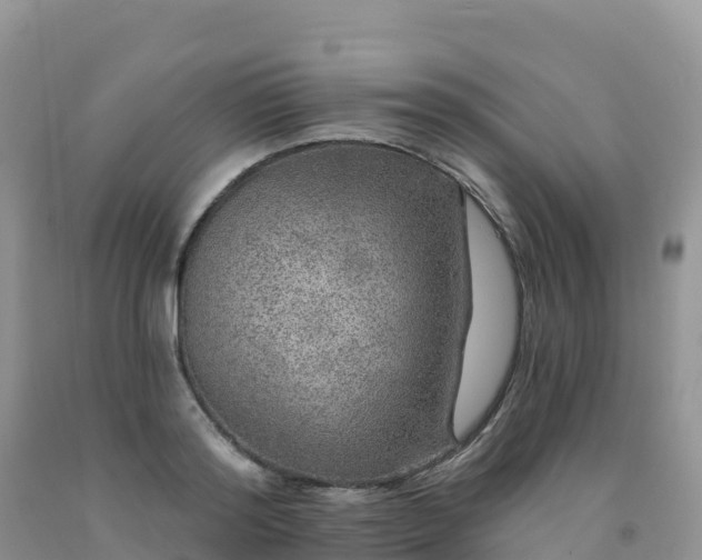 X0000092080796200709191223