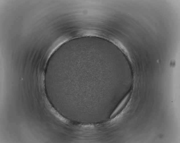 X0000092080798200709191223
