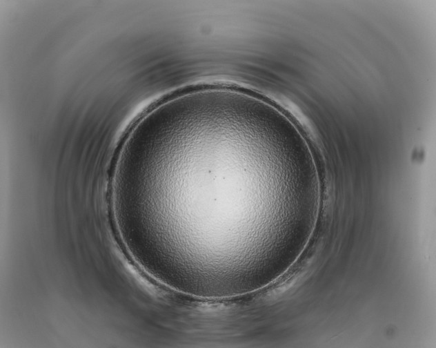 X0000092080799200709191223