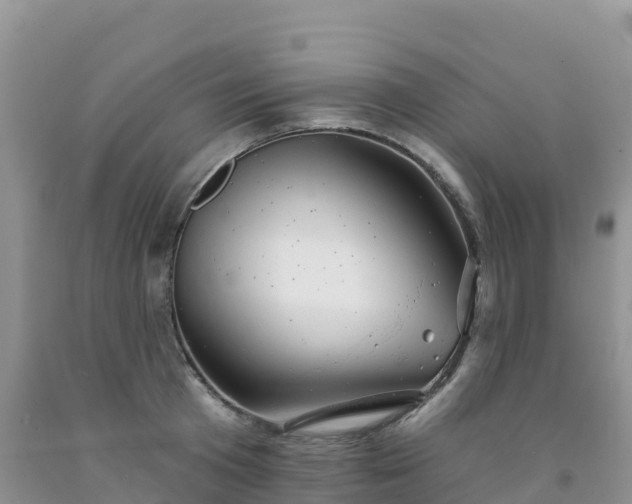 X0000092080801200709191223
