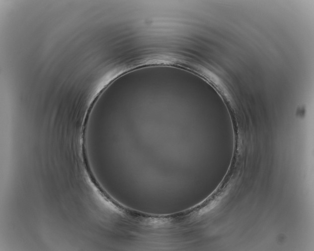 X0000092080802200709191223