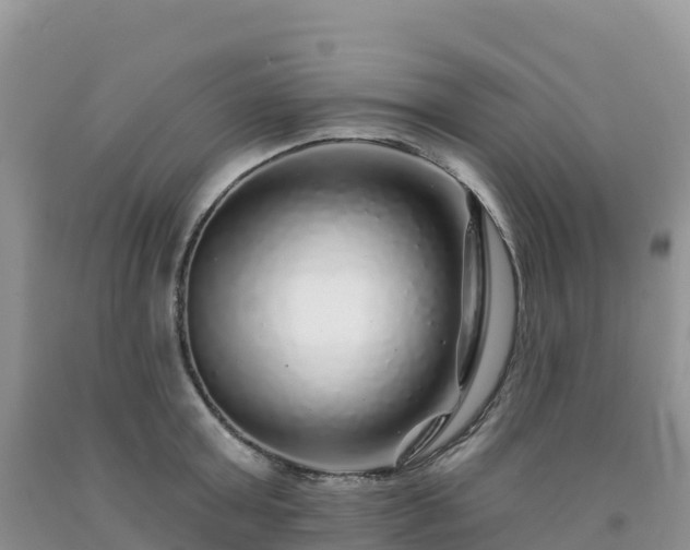 X0000092080803200709191223