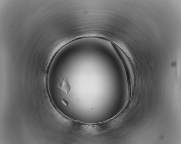 X0000092080805200709191223