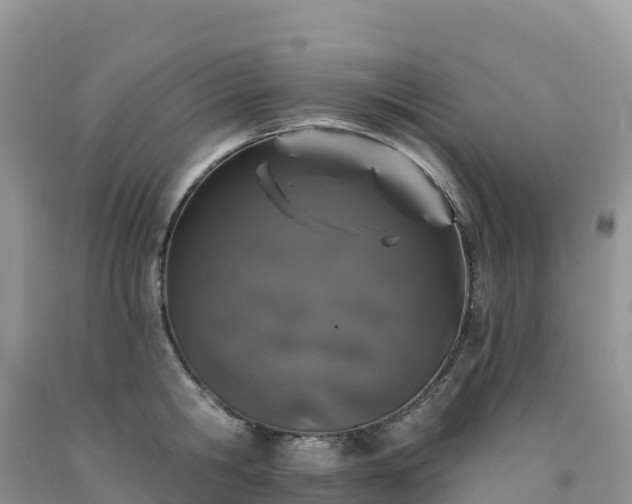 X0000092080806200709191223