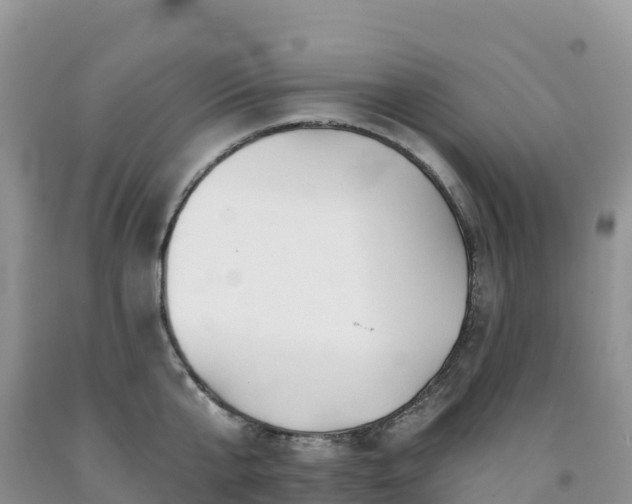 X0000092080807200709191223