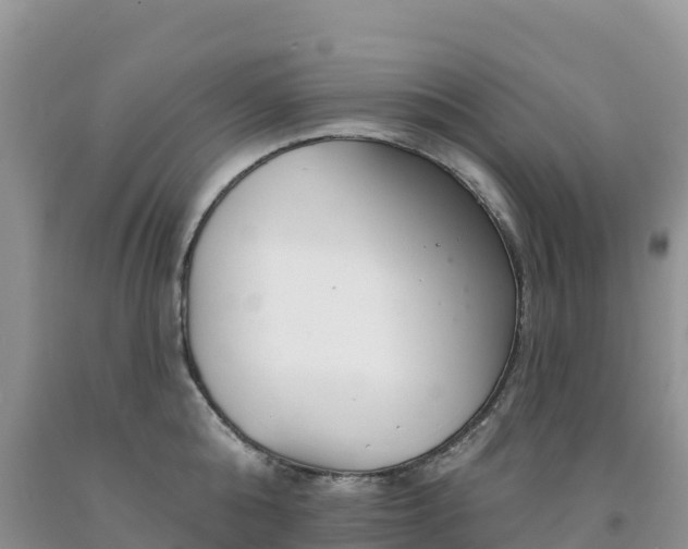 X0000092080808200709191223