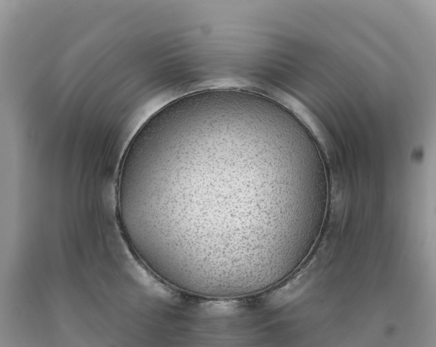 X0000092080810200709191223