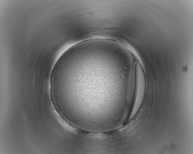 X0000092080811200709191223