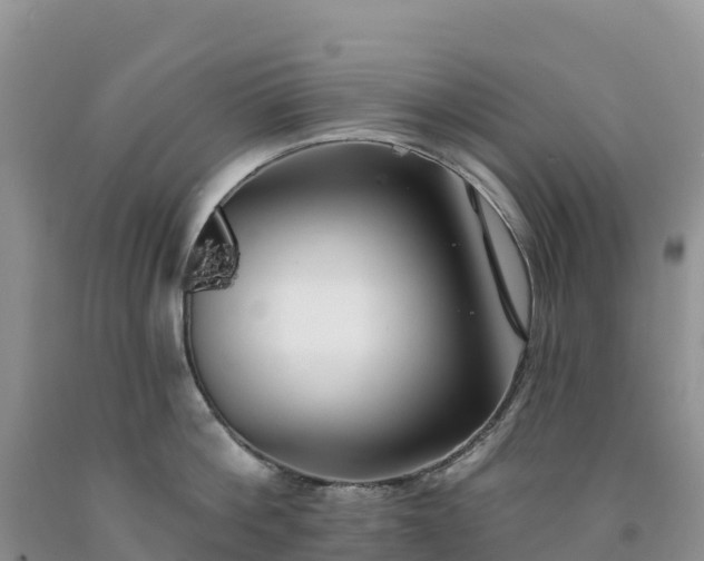 X0000092080812200709191223