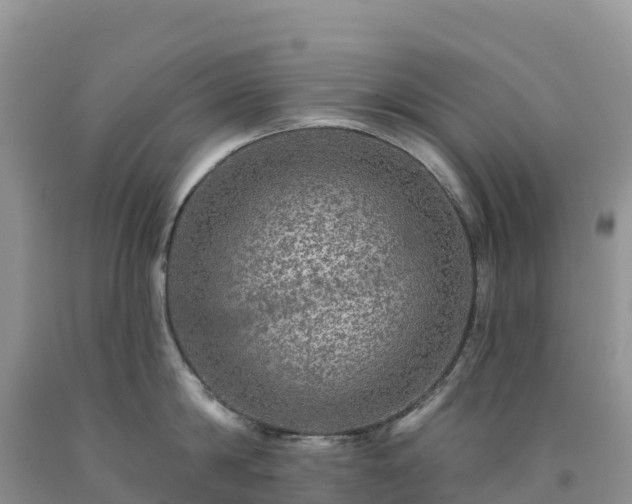 X0000092080814200709191223