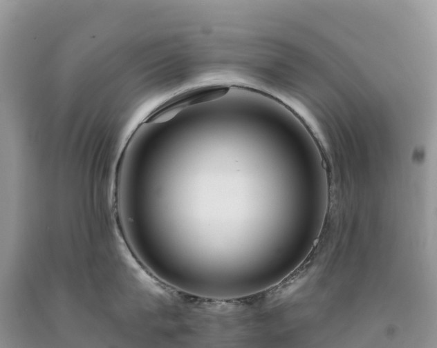 X0000092080815200709191223