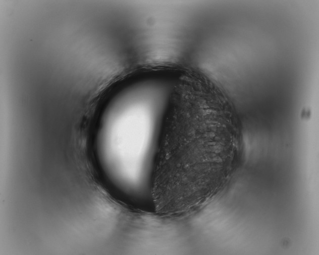 X0000092080818200709191223