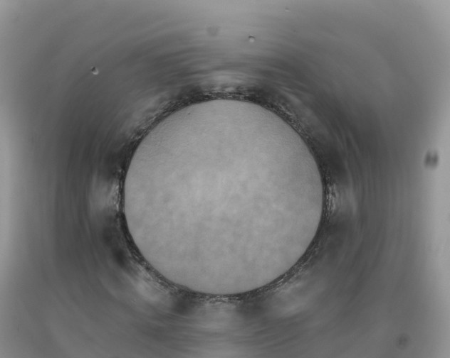 X0000092080820200709191223