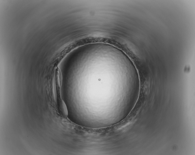X0000092080821200709191223