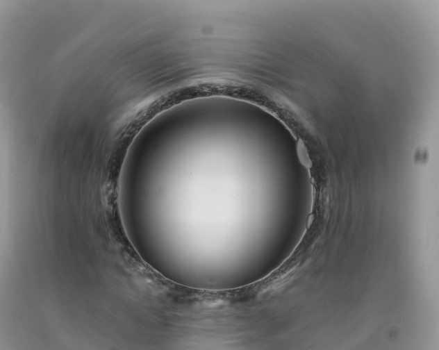 X0000092080822200709191223