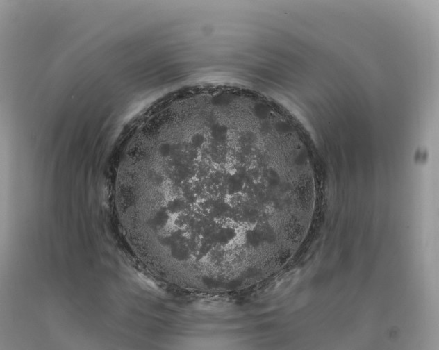 X0000092080823200709191223