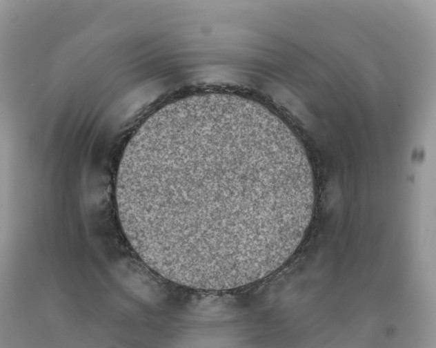 X0000092080824200709191223