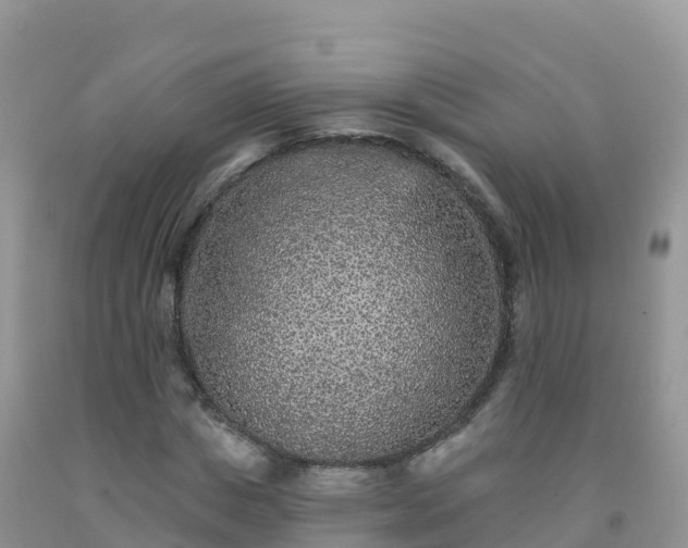 X0000092080825200709191223