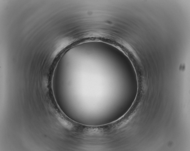 X0000092080826200709191223