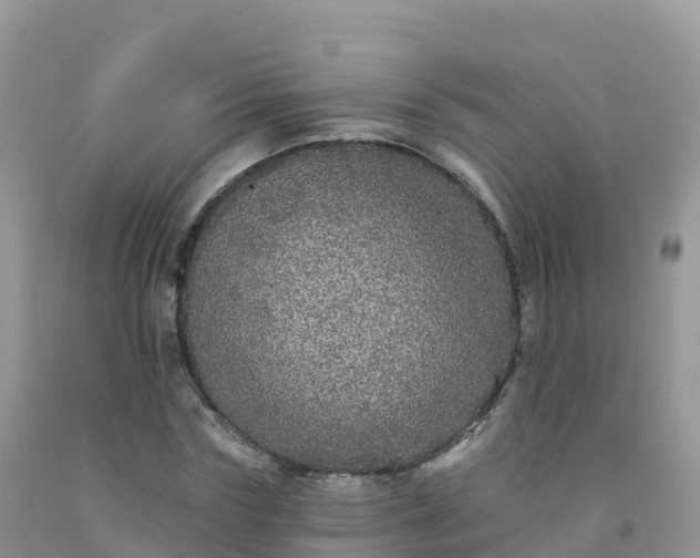 X0000092080827200709191223