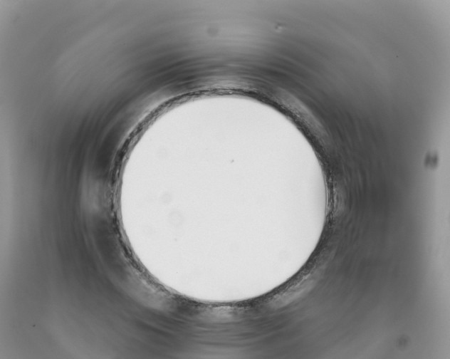 X0000092080828200709191223