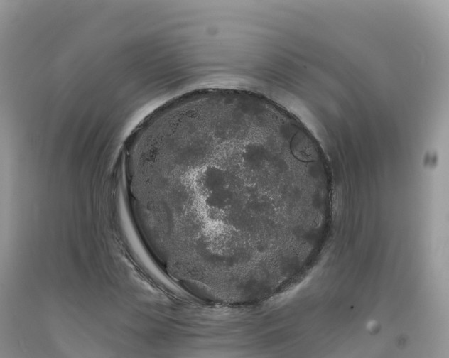 X0000092080829200709191223