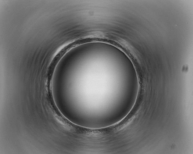 X0000092080830200709191223