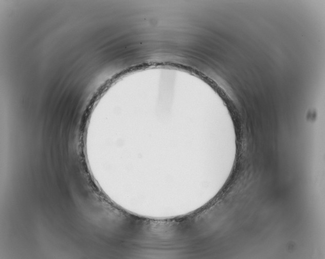X0000092080832200709191223