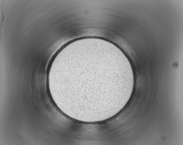 X0000092080836200709191223