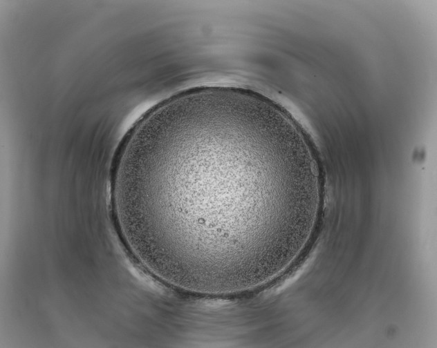 X0000092080837200709191223