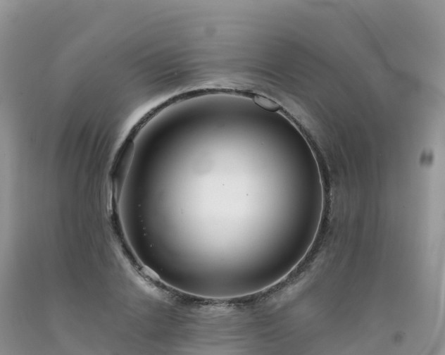 X0000092080838200709191223