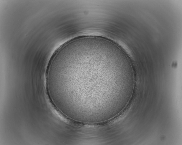 X0000092080840200709191223