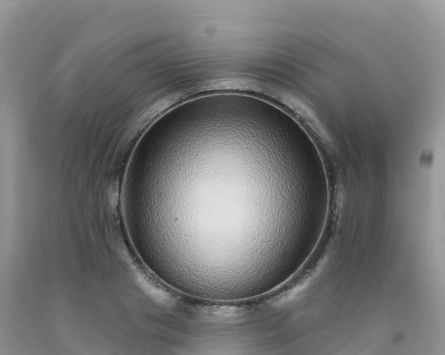 X0000092080841200709191223