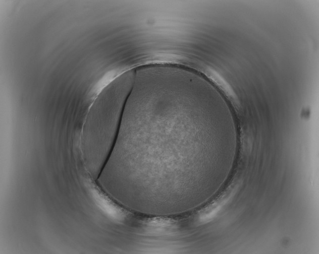 X0000092080842200709191223
