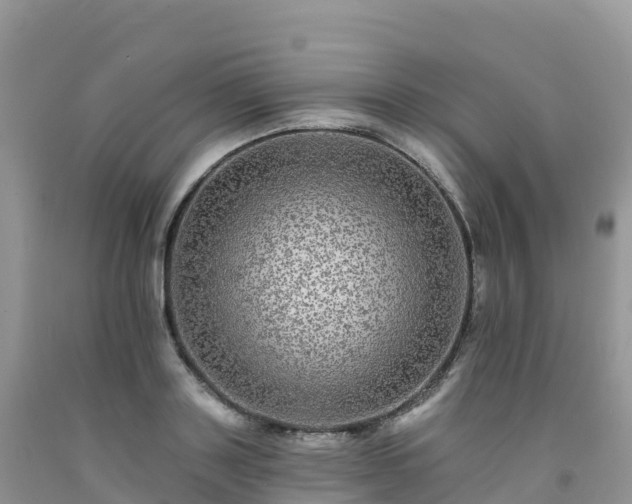 X0000092080843200709191223