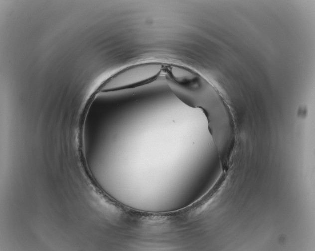 X0000092080846200709191223