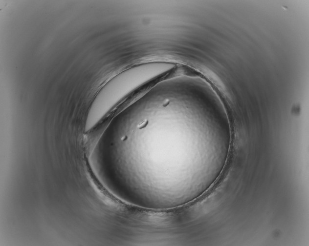 X0000092080849200709191223