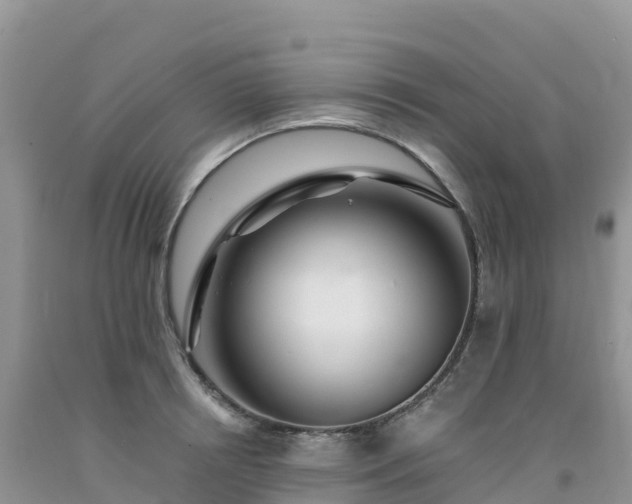 X0000092080850200709191223