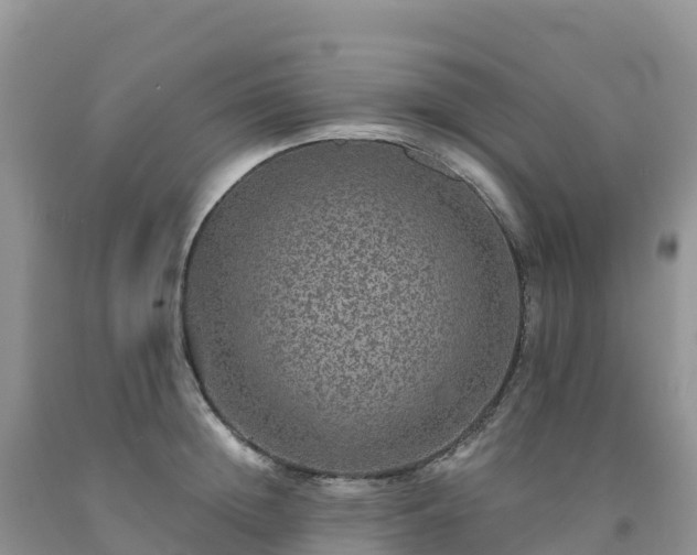 X0000092080852200709191223