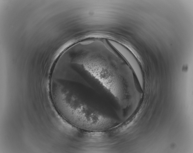 X0000092080853200709191223