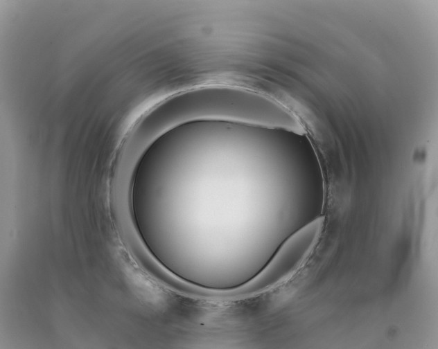 X0000092080854200709191223