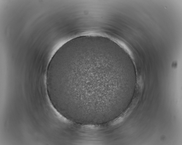 X0000092080855200709191223