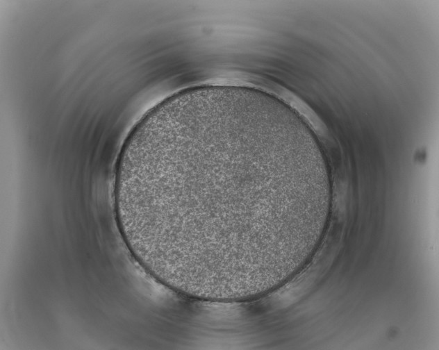 X0000092080856200709191223