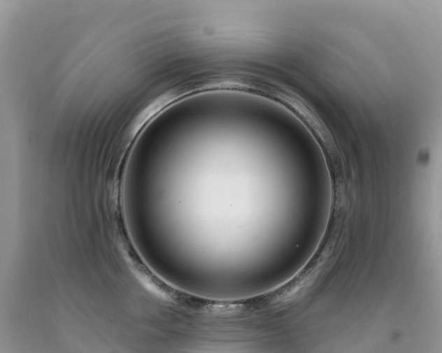 X0000092080858200709191223
