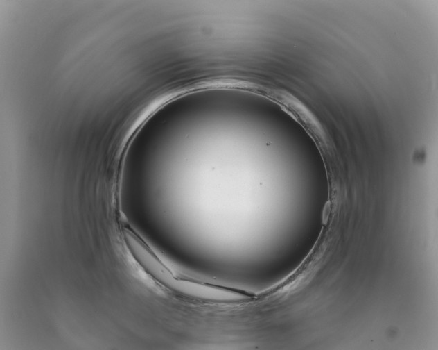 X0000092080860200709191223