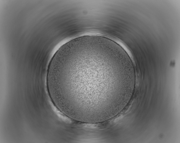 X0000092080861200709191223