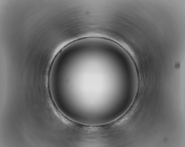 X0000092080862200709191223